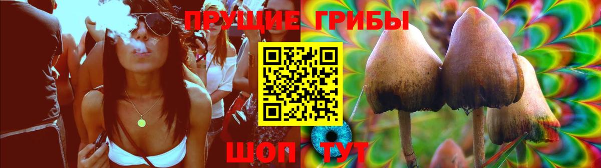 Псилоцибиновые грибы Psilocybine cubensis  Вход с VPN  Бердск  Галлюциногенные грибы Psilocybine cubensis 
