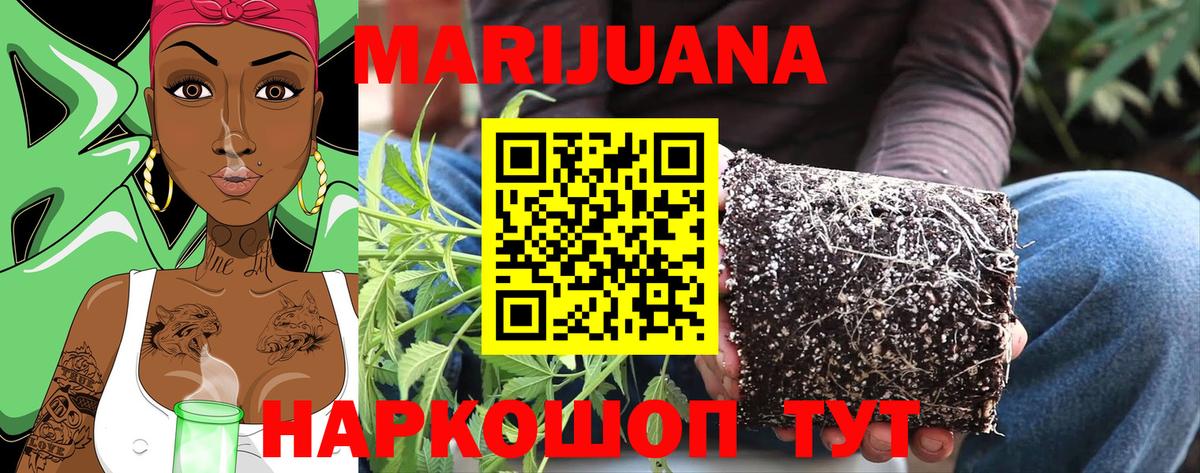 МАРИХУАНА план  МАРИХУАНА VHQ  Вход с VPN  Бердск  Каннабис план 